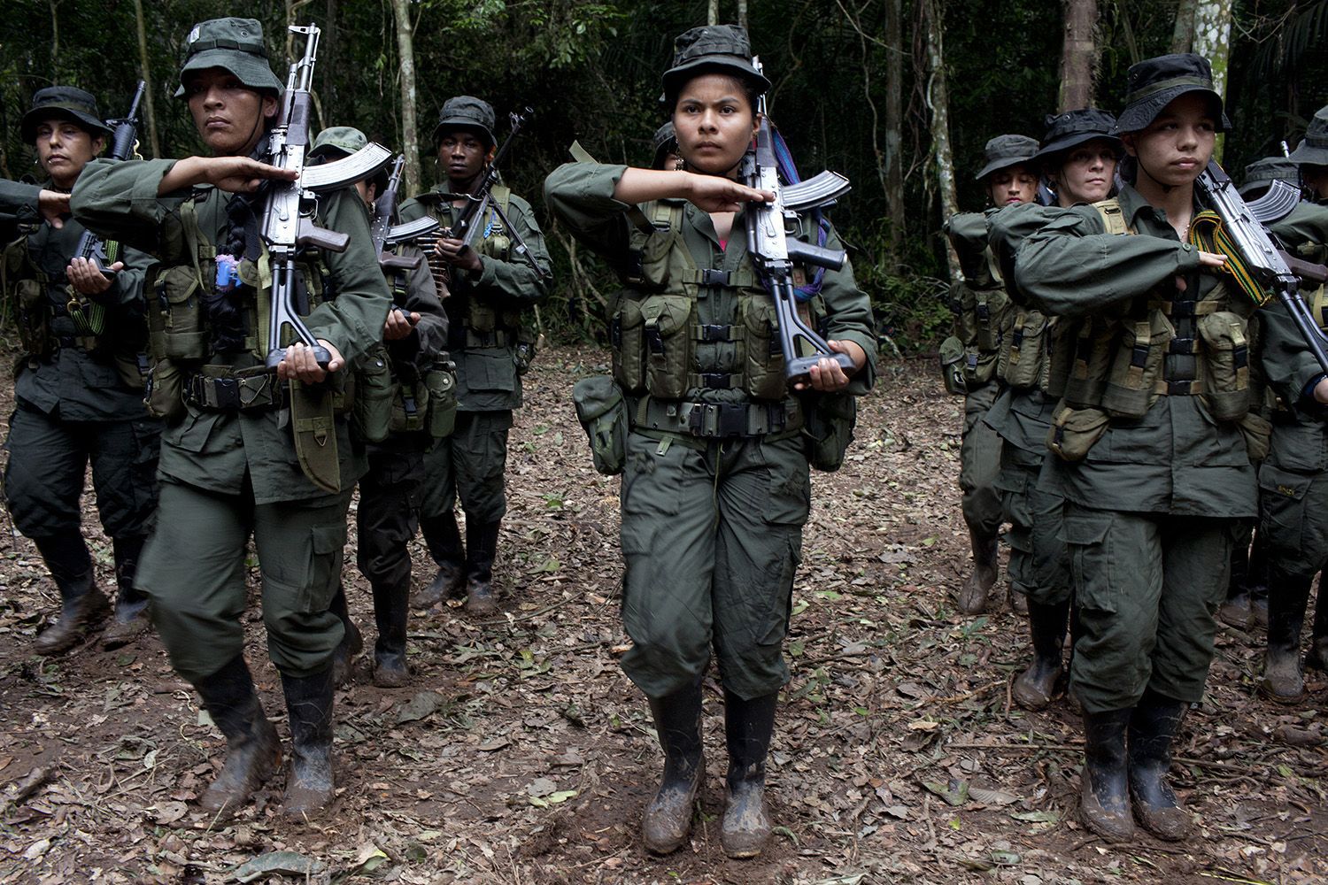 FARC in Meta